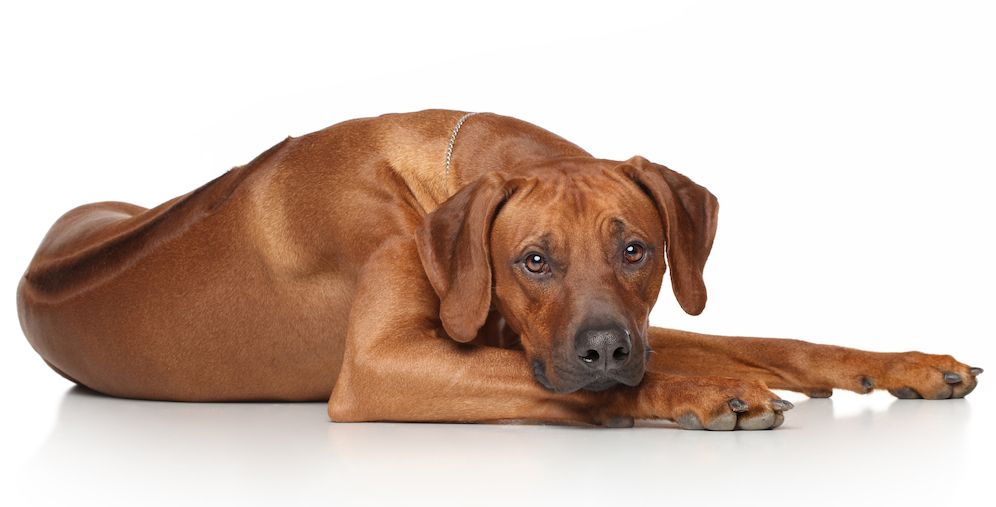 The Gossip Column: December 8, 2023